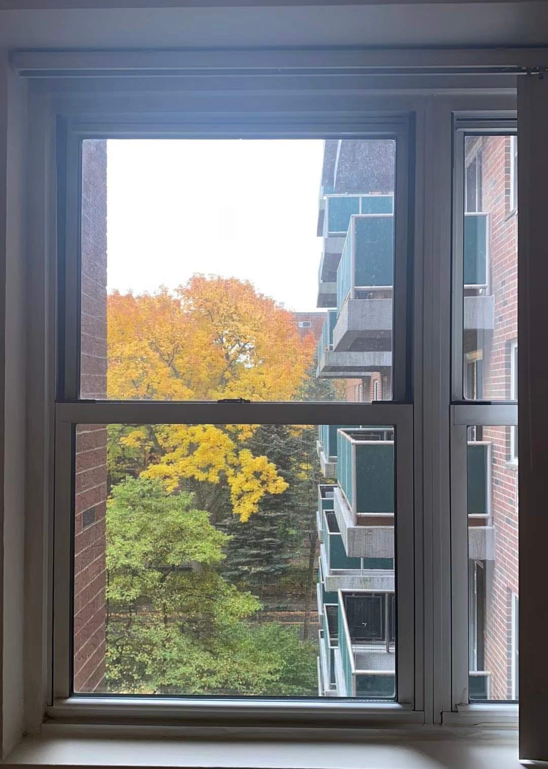 Window, Quarantine, and Connections to the World